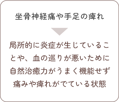 坐骨神経痛や手足のしびれ→局所的に炎症が生じていることや、血の巡りが悪いために自然治癒力がうまく機能せず痛みや痺れがでている状態